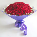 99 Red Roses-Amazing Like You 99 Red Roses-Amazing Like You
