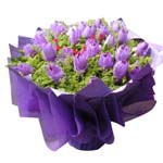 Violet dream Violet dream