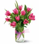 Ten dazzling hot pink Tulips Ten dazzling hot pink Tulips